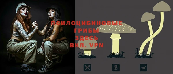 прущая мука Елизово