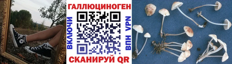 Галлюциногенные грибы GOLDEN TEACHER  Купить где  Коряжма 